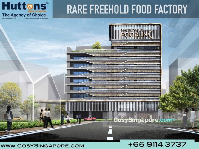 Freehold Food Factory Singapore Mactaggart